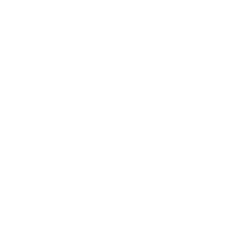 car diagnostic